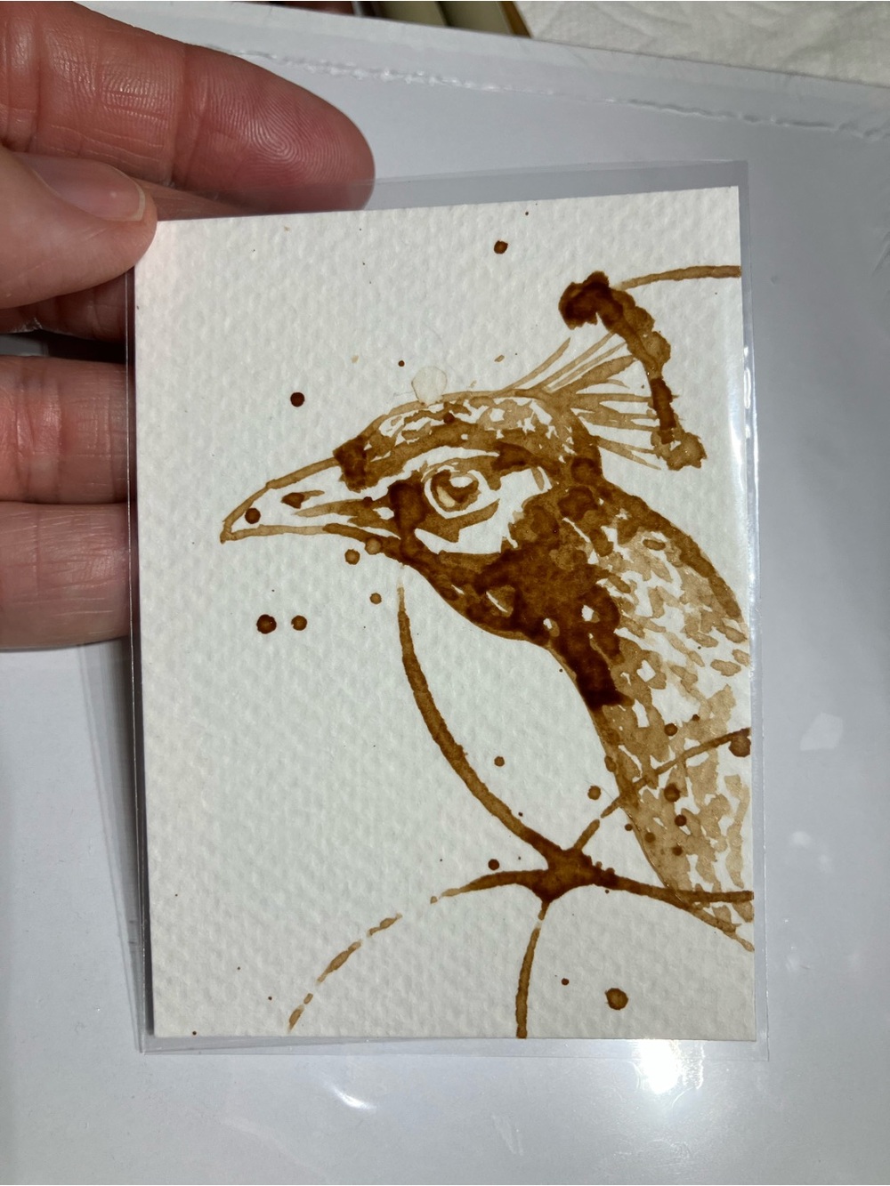 Aceo original peacock painting coffee art bird Java by Artettina